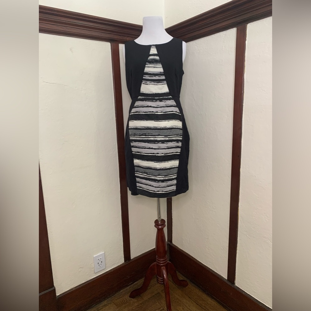 Eva Franco Matrix Dress